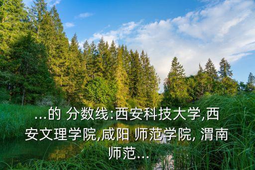 ...的 分數(shù)線:西安科技大學,西安文理學院,咸陽 師范學院, 渭南 師范...