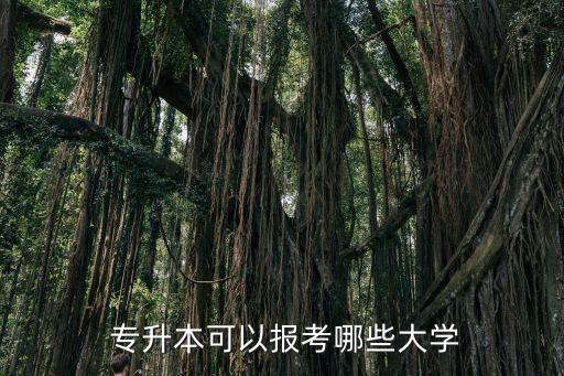  專(zhuān)升本可以報(bào)考哪些大學(xué)