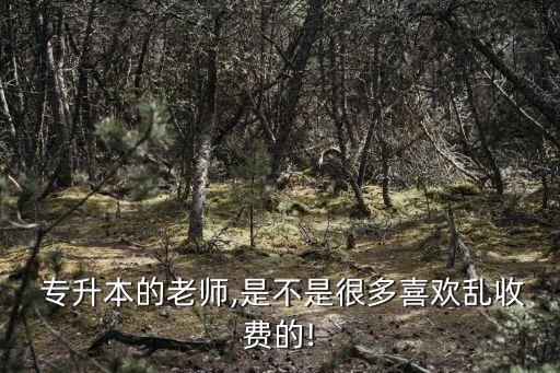  專升本的老師,是不是很多喜歡亂收費(fèi)的!