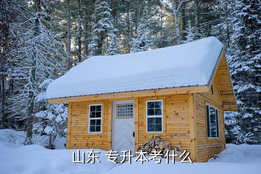 山東2017專升本科目,2017年山東專升本語文作文范文