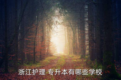 浙江護理 專升本有哪些學校