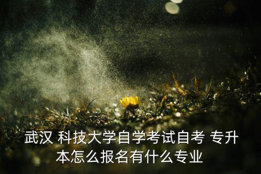  武漢 科技大學(xué)自學(xué)考試自考 專升本怎么報名有什么專業(yè)