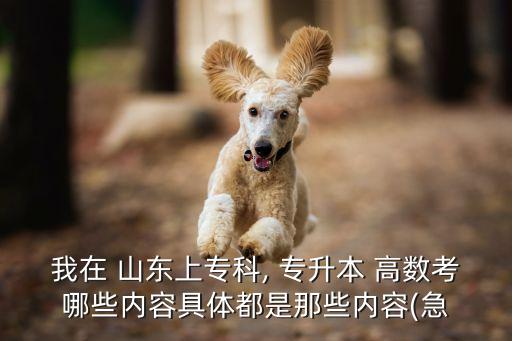 我在 山東上?？? 專升本 高數(shù)考哪些內(nèi)容具體都是那些內(nèi)容(急