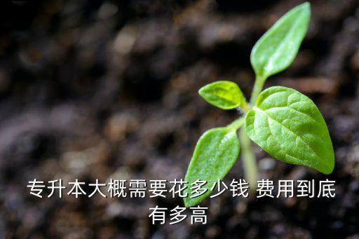 美國專升本費(fèi)用,專升本申請美國研究生