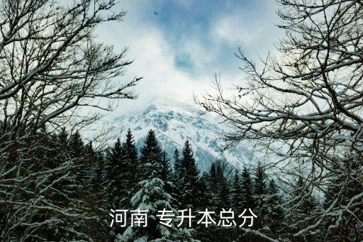  河南 專(zhuān)升本總分