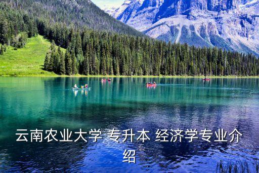 云南農(nóng)業(yè)大學(xué) 專升本 經(jīng)濟學(xué)專業(yè)介紹
