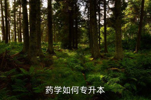 藥學(xué)如何專升本