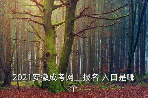 2021安徽成考網(wǎng)上報(bào)名 入口是哪個(gè)