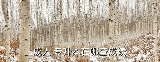 專升本怎么查分?jǐn)?shù),江蘇專升本什么時候查分?jǐn)?shù)