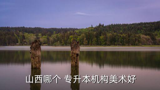  山西哪個(gè) 專(zhuān)升本機(jī)構(gòu)美術(shù)好