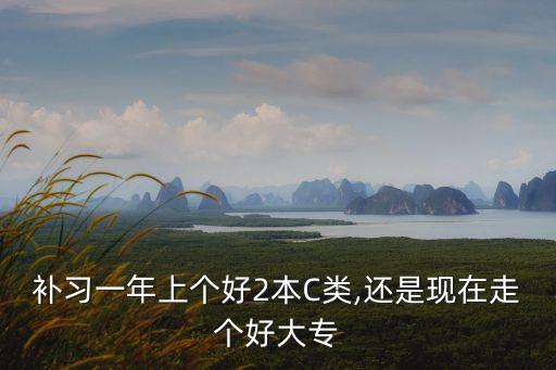 補(bǔ)習(xí)一年上個(gè)好2本C類,還是現(xiàn)在走個(gè)好大專