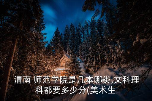  渭南 師范學院是幾本哪類,文科理科都要多少分(美術生