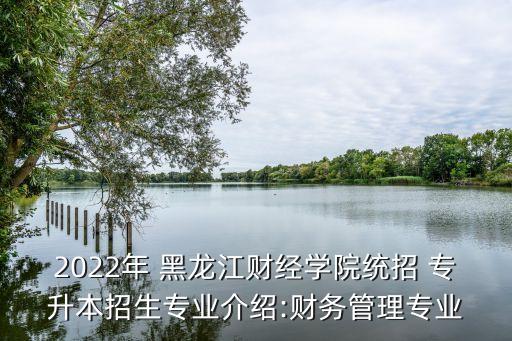 2022年 黑龍江財(cái)經(jīng)學(xué)院統(tǒng)招 專(zhuān)升本招生專(zhuān)業(yè)介紹:財(cái)務(wù)管理專(zhuān)業(yè)