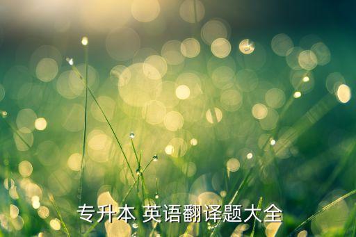  專(zhuān)升本 英語(yǔ)翻譯題大全