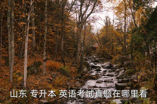 山東 專升本 英語(yǔ)考試真題在哪里看