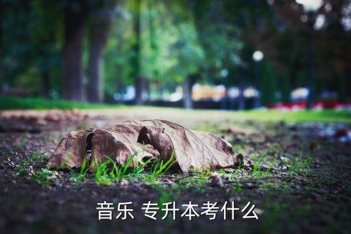 音樂(lè)專升本院校有哪些專業(yè)嗎,江蘇音樂(lè)專升本的院校有哪些