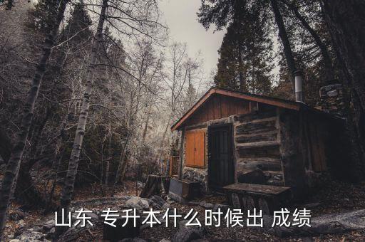 山東 專(zhuān)升本什么時(shí)候出 成績(jī)