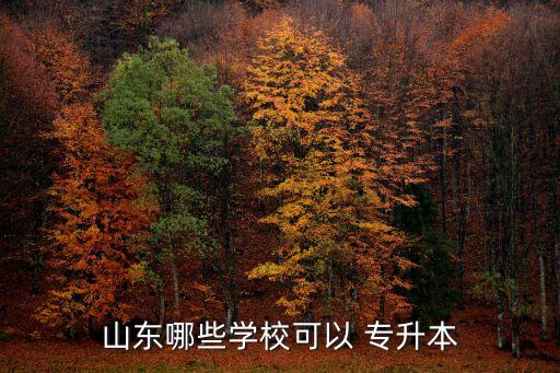山東哪些學(xué)?？梢?專(zhuān)升本