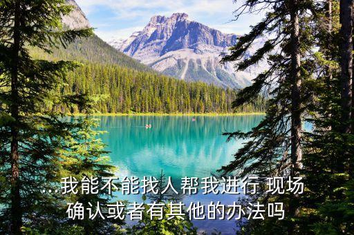 ...我能不能找人幫我進(jìn)行 現(xiàn)場(chǎng) 確認(rèn)或者有其他的辦法嗎