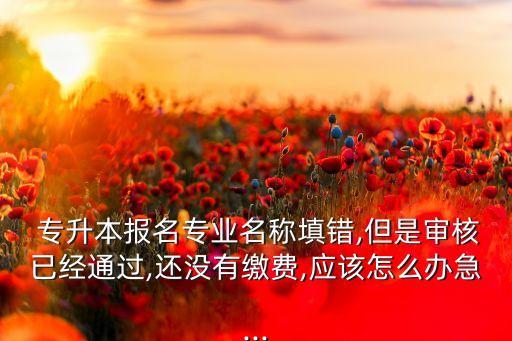  專升本報(bào)名專業(yè)名稱填錯(cuò),但是審核已經(jīng)通過(guò),還沒(méi)有繳費(fèi),應(yīng)該怎么辦急...