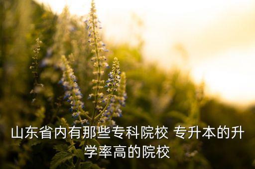 山東省內(nèi)有那些?？圃盒?專升本的升學率高的院校