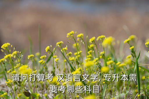請(qǐng)問打算考 漢語言文學(xué), 專升本需要考哪些科目