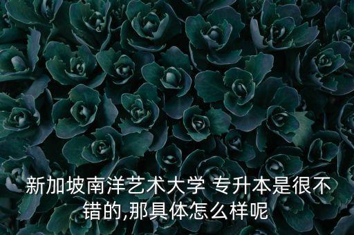  新加坡南洋藝術大學 專升本是很不錯的,那具體怎么樣呢