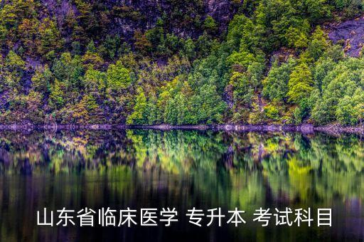  山東省臨床醫(yī)學(xué) 專(zhuān)升本 考試科目