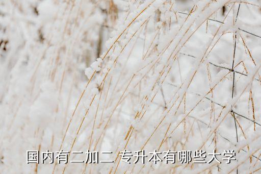 國內(nèi)有二加二 專升本有哪些大學