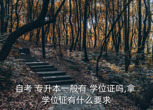 自考 專升本一般有 學(xué)位證嗎,拿 學(xué)位證有什么要求