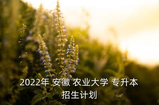 2022年 安徽 農業(yè)大學 專升本招生計劃