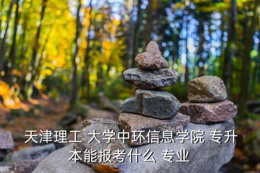  天津理工 大學中環(huán)信息學院 專升本能報考什么 專業(yè)