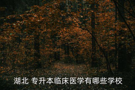  湖北 專升本臨床醫(yī)學有哪些學校