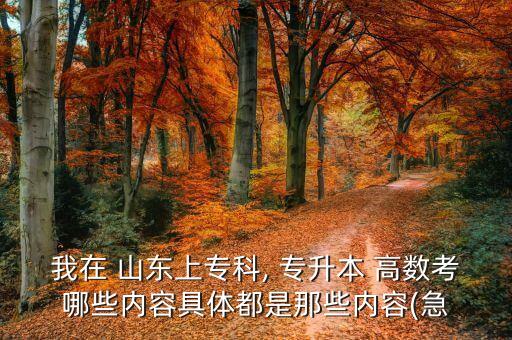 我在 山東上?？? 專升本 高數(shù)考哪些內(nèi)容具體都是那些內(nèi)容(急