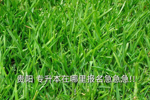  貴陽 專升本在哪里報名急急急!!!