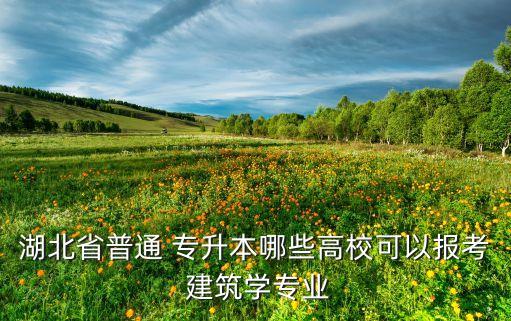 湖北省普通 專升本哪些高?？梢詧罂?建筑學專業(yè)