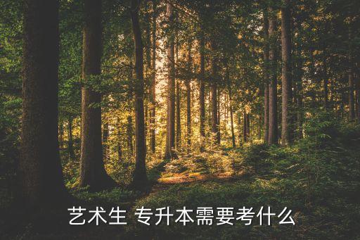  藝術(shù)生 專升本需要考什么