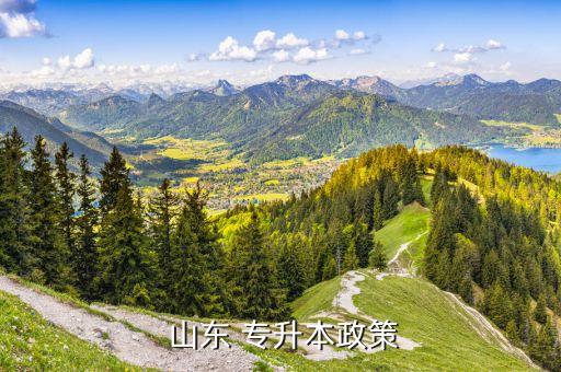 山東是否取消專升本,2024年山東專升本政策會(huì)取消