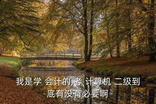 會計專升本計算機(jī)二級嗎,山東會計專業(yè)專升本計算機(jī)考什么
