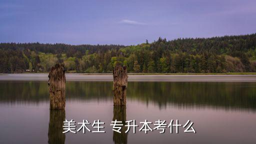  美術生 專升本考什么