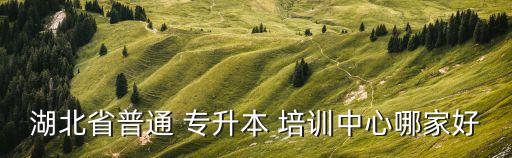 湖北省普通 專(zhuān)升本 培訓(xùn)中心哪家好