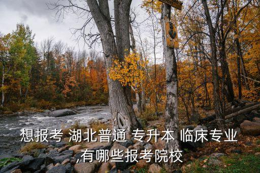 想報考 湖北普通 專升本 臨床專業(yè),有哪些報考院校