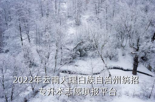 2022年云南大理白族自治州統(tǒng)招 專升本志愿填報(bào)平臺(tái)