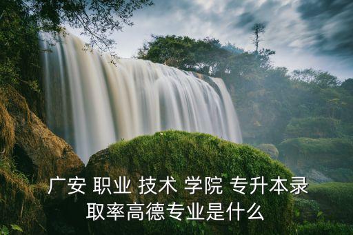 廣安職業(yè)技術(shù)學(xué)院是否可以專(zhuān)升本