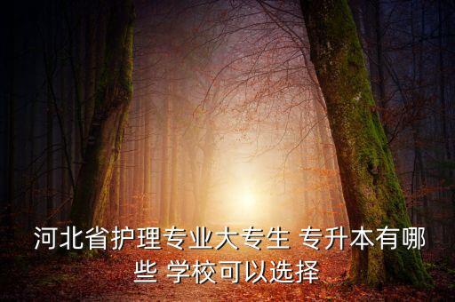  河北省護(hù)理專業(yè)大專生 專升本有哪些 學(xué)?？梢赃x擇