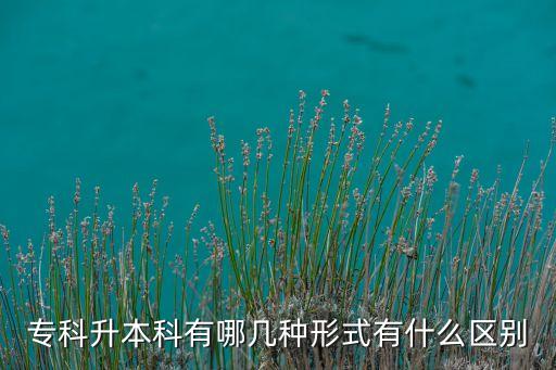 中文專業(yè)專升本考什么區(qū)別,法律事務(wù)專業(yè)專升本考什么