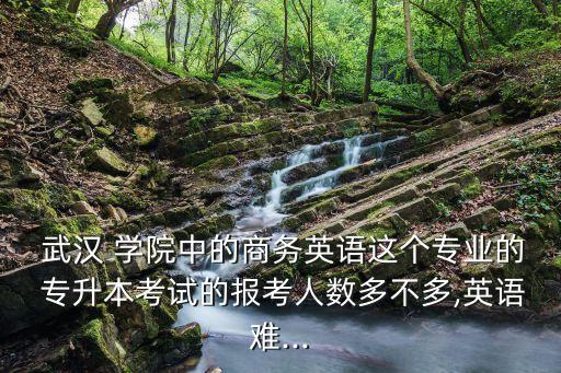  武漢 學(xué)院中的商務(wù)英語這個(gè)專業(yè)的 專升本考試的報(bào)考人數(shù)多不多,英語難...
