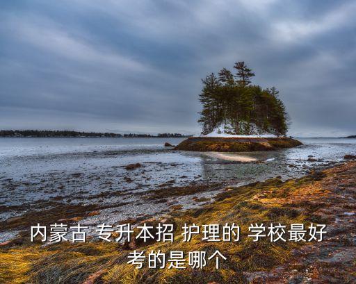 內(nèi)蒙古 專升本招 護理的 學(xué)校最好考的是哪個