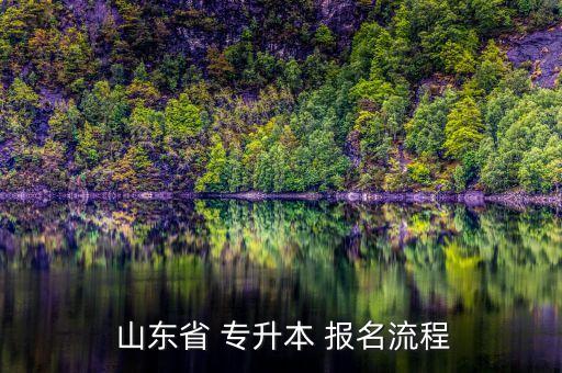  山東省 專(zhuān)升本 報(bào)名流程