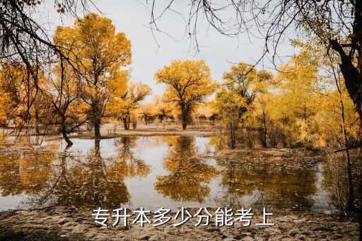  專(zhuān)升本多少分能考上